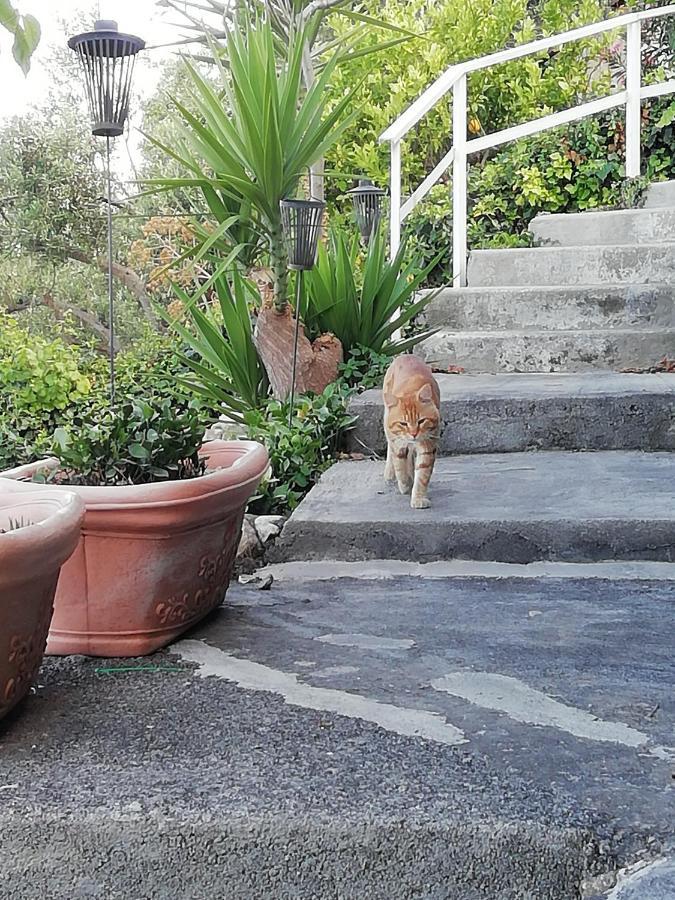 U Castiddanu Lägenhet Taormina Exteriör bild