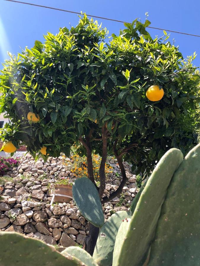 U Castiddanu Lägenhet Taormina Exteriör bild